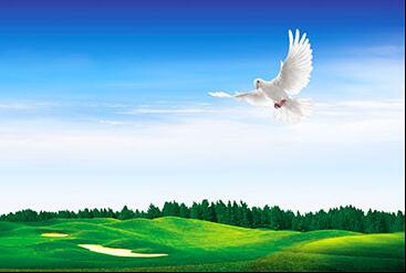 浙江發(fā)布全國首個(gè)省級環(huán)保設施公眾開(kāi)放地方